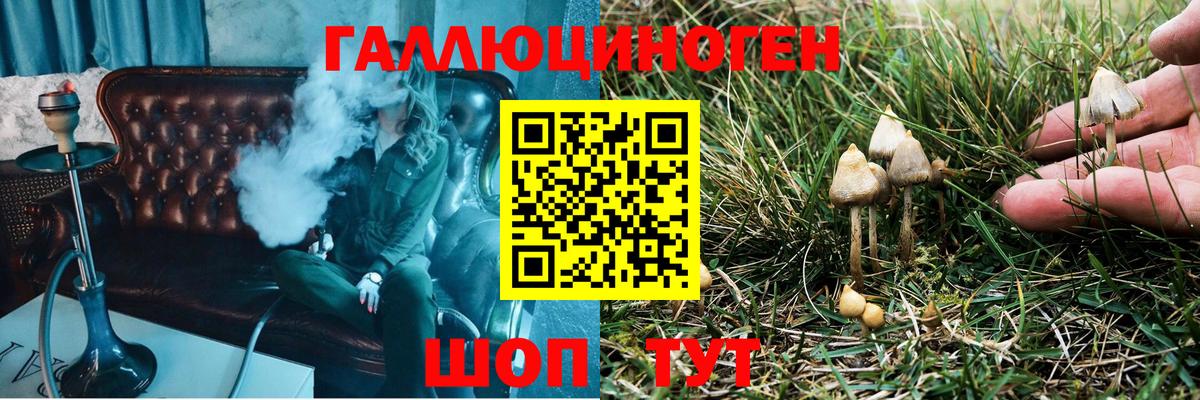 Галлюциногенные грибы MAGIC MUSHROOMS Тверь